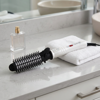 Lisseur de cheveux professionnel portable électrique à ions négatifs avec revêtement céramique LED et peigne à air chaud pour usage hôtelier et domestique