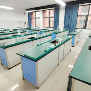 Muebles de laboratorio de ciencias de la escuela secundaria Biología Química Física Mesa de Banco de laboratorio - Product Image 1