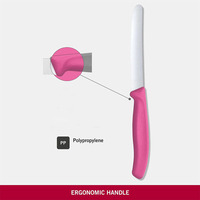 Couteau à steak et barbecue dentelés en acier inoxydable avec manche en plastique Lame en acier au carbone Construction métallique