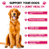 OEM/ODM Huile de poisson Oméga 3 sous forme de gommes pour chiens et chats, à l'huile de lin et de saumon, favorise la santé de la peau et du pelage, approvisionnement direct usine