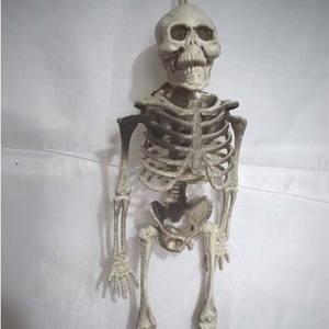 Artículo en Venta Caliente: Esqueleto de Plástico Simulado SKB59 para Exhibición en KTV, Bares, Salas de <span class=keywords><strong>Escape</strong></span> y Escenarios de Terror - Product Image 1