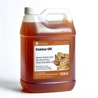 Huile de Costus Distillée à la Vapeur à Partir de Racines Séchées, Liquide Viscieux Jaune Pâle à Brunâtre, Parfum Boisé et Terreux pour l'Aromathérapie