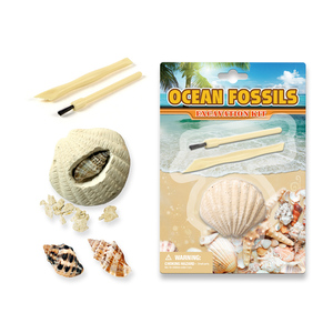Ensemble de jouets éducatifs pour creuser Ocean Life Beautiful Shell Excavation STEM Kits encourage à creuser <span class=keywords><strong>la</strong></span> créativité - Product Image 1