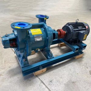 Sz 2 Water Ring Vacuum Pump 380 V Electric Centrifugal Pump For Water Treatment Machinery - Product Image 1