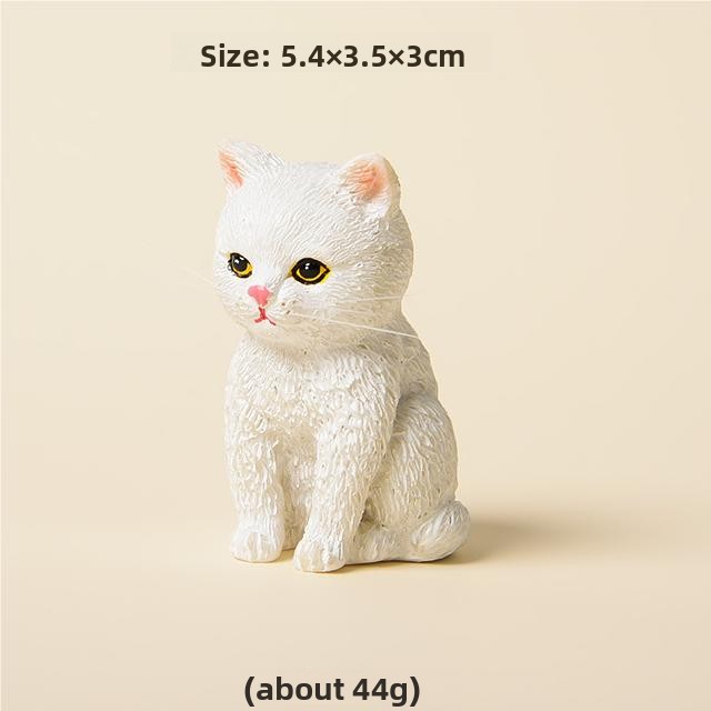 2-อื่นๆ