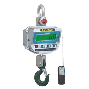 Balance de grue dynamométrique numérique FERVI D012 - Product Image 1