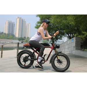 V20 Vélo Électrique le Plus Rapide en Stock 250W 750W 1000W Ebike 25km/h Fabricants de Vélos Électriques en Chine - Product Image 3