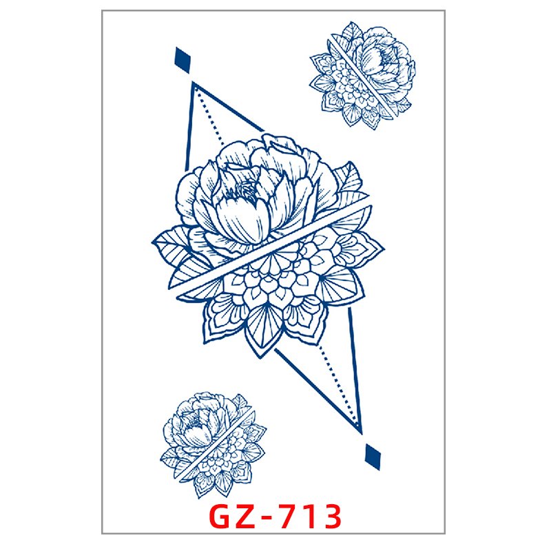 GZ-713