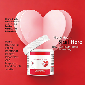 Integratore per il Supporto Cardiaco dei Cani OEM all'Ingrosso, Formula Cardiovascolare con CoQ10, L-Taurina, L-Carnitina, 60 Compresse Masticabili, 270g - Product Image 5