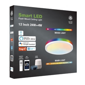 24W 32W WIFI应用控制遥控声控发光二极管现代吸顶灯卧室吸顶灯 - Product Image 5