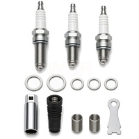 Jeu de bougies d'allumage double iridium WRR avec outil de dépose pour Mercedes-Benz W204 W205 W212 W213 C300 E300 GLC300 A0041597503