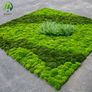 Paredes de Musgo Real Preservado DIY - Arte de Jardín <span class=keywords><strong>Vertical</strong></span> Ecológico, Resistente al Agua y Personalizable para Decoración <span class=keywords><strong>Interior</strong></span> Colgante - Product Image 3