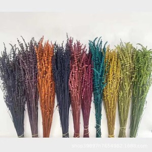Ramo de Lavanda Seca Premium al por Mayor, Lavanda Aromática Seca al Aire Natural y Ecológica, 100g/Paquete, Aroma para el Hogar, Aromaterapia, Floristerías - Product Image 5