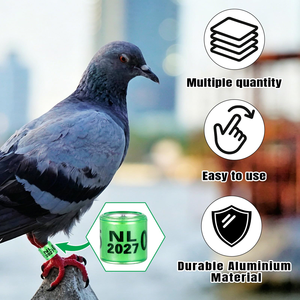 Bagues de patte pour pigeons 2026, nom du pays, diamètre intérieur 8 mm, en aluminium, pour perroquets, cailles, entraînement et identification des oiseaux, 100 pièces/paquet - Product Image 3