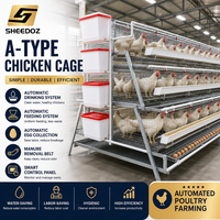 Cages pour poulets de chair, cages pour poules pondeuses, cages avicoles pour l'élevage en batterie, cages de type A pour poulets de ferme, cages de poussins