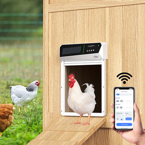 Puerta Automática <span class=keywords><strong>para</strong></span> Gallinero con Sensor Infrarrojo Solar y Protección Antipinzamiento, Cerradura Enrollable con Carga Solar y Control por Aplicación - Product Image 1