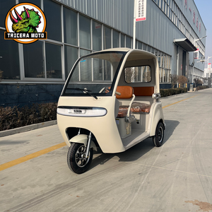 Triciclo Eléctrico Silencioso de Carrocería Cerrada para 3 Pasajeros, Eje Trasero Integrado, Engranajes de Precisión, Gran Espacio de Almacenamiento 2260x1065x1665mm - Product Image 2