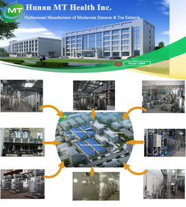 ผงสารสกัดจากรากขิงธรรมชาติบริสุทธิ์100% มีรสชาติดีสกัดจากรากขิง - Product Image 4