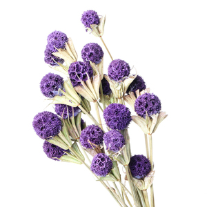 Lulutong ventes directes nouveau Style chinois bricolage Arrangement de fleurs matériaux <span class=keywords><strong>Bouquet</strong></span> de fleurs séchées pour la fête des mères - Product Image 1