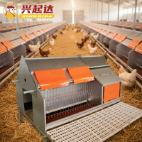 Nouveau nid de ponte de poulets automatique galvanisé à chaud avec collecte d'œufs Marque Xingqida Garantie 1 an 40kg