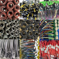 مصنع مخصص لمجموعات الأسلاك الكهربائية، أسلاك نحاسية مغلفة بالـ PVC بمقاسات 1.0/1.25/1.5/2.0/2.54 مم، 2/3/4/5/6 أسلاك، توصيلات كهربائية عالمية