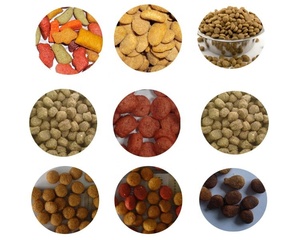 Línea de Producción de Extrusora de Alimentos Secos <span class=keywords><strong>para</strong></span> Perros de Doble Tornillo y Máquina de Producción de Golosinas <span class=keywords><strong>para</strong></span> <span class=keywords><strong>Mascotas</strong></span> y Alimentos <span class=keywords><strong>para</strong></span> Gatos - Product Image 5