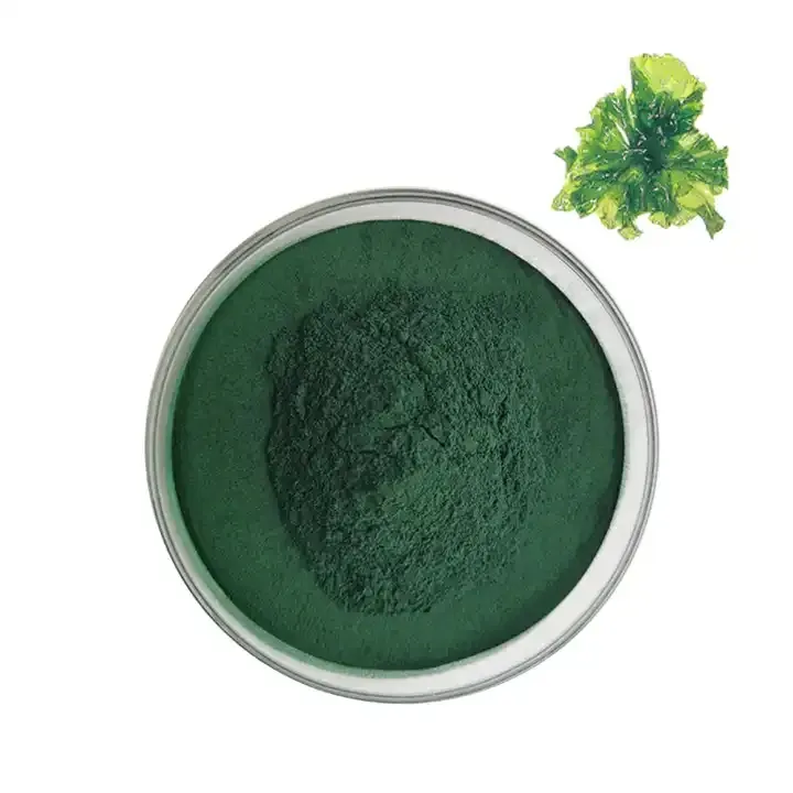 Pure natural 100% alta qualidade Organic Chlorella Em Pó atacado granel chorella comprimidos