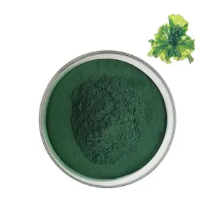 Tinh khiết tự nhiên 100% Chất lượng cao hữu cơ Chlorella bột bán buôn số lượng lớn chorella máy tính bảng