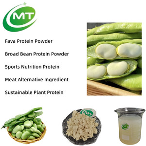 Protéine d'Isolat de Haricot Large de Haute Qualité, Approvisionnement en Usine, Vente en Gros, 90% de Protéines / Protéine de Haricot Faba / Poudre de Protéine de Haricot Fava - Product Image 2