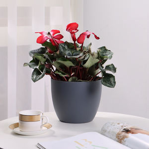 <span class=keywords><strong>Maceta</strong></span> <span class=keywords><strong>de</strong></span> plástico al por mayor, <span class=keywords><strong>maceta</strong></span> inteligente perezosa creativa, <span class=keywords><strong>maceta</strong></span> redonda <span class=keywords><strong>con</strong></span> <span class=keywords><strong>sistema</strong></span> <span class=keywords><strong>de</strong></span> <span class=keywords><strong>autorriego</strong></span> para el hogar, escritorio interior - Product Image 2