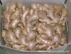 高品質の新鮮な乾燥した若い生姜食品 中国生姜卸売価格 生姜根 - Product Image 3