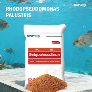 Bacterias fotosintéticas para acuicultura, aminoácidos de grado alimenticio, aditivos para alimento de peces y camarones - Product Image 3