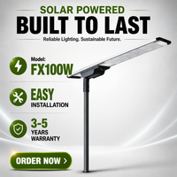 Lampe solaire de rue étanche IP66 100W avec contrôleur MPPT, angle de faisceau 140°, CRI élevé 80, construction en alliage d'aluminium, télécommande