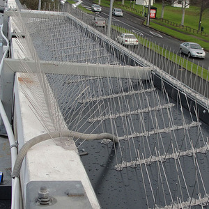 Prix Abordable, Durable, Étanche, Extérieur, Base en Plastique, <span class=keywords><strong>Anti</strong></span>-Oiseaux, pour Fenêtres et Toits - Product Image 2