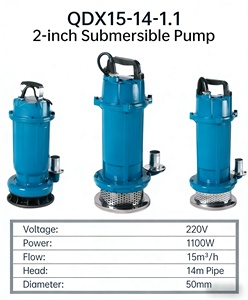 Pompe submersible à essence haute pression de 2 pouces avec câble de 14 m, support OEM personnalisé pour diffuseur d'aromathérapie, garantie 1 an - Product Image 2