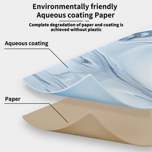 Desodorizantes Absorbentes de Humedad para Zapatos, Equipos y Armarios con Frescura Duradera - Product Image 6