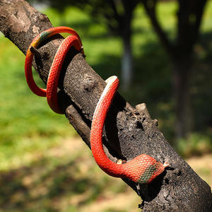 <span class=keywords><strong>D</strong></span>écorations <span class=keywords><strong>d</strong></span>'Halloween : Figurines <span class=keywords><strong>d</strong></span>'animaux en peluche de 75 cm – Serpent, araignée, scorpion, lézard réalistes en caoutchouc – Jouets farfelus - Product Image 3