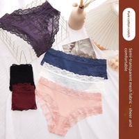 Celana Dalam Wanita ODM Pabrik Kustom, Renda Prancis Solid, Pinggang Sedang, Sporty, Tipis, Ringan, Bernapas, Lembut, Bahan Nilon Katun, Nyaman