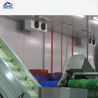 Loop in een koelcel & vriezer met Copeland compressor, milieuvriendelijke koelinstallatie voor de opslag van verse groenten en fruit.