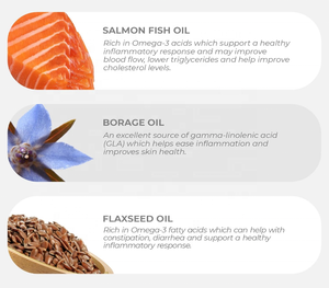 कुत्ते के शेडिंग और खुजली और दिल के समर्थन के लिए ओमेगा और विटामिन ई के साथ कुत्ते चबाने योग्य टैबलेट के लिए ओमेगा और विटामिन ई - Product Image 3