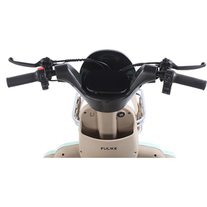 All'ingrosso basso prezzo elettrico 800w /1000w batteria piombo-acido triciclo elettrico città di viaggio per adulti - Product Image 4