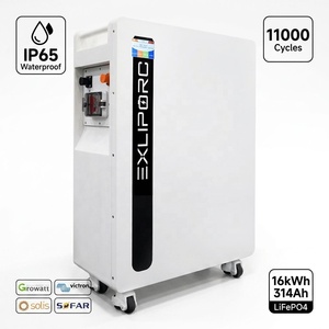 EXLIPORC Low Voltage 51.2V 314Ah LiFePO4 Battery 16kWh Active Balance BMS IEC CE Home <b>Energy</b> <b>Storage</b> <b>System</b> - Product Image 1