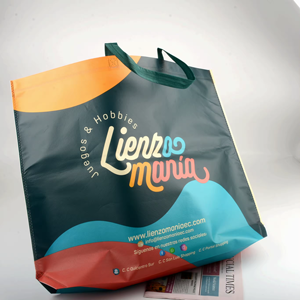 Impression personnalisée de petits lots de sacs à main bon marché, tissu recyclable, logo de sac à provisions non tissé - Product Image 4