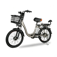 Vélo électrique Fire Spirit Bird à double siège avec écran LED de 22 pouces, suspension avant et frein à tambour pour les trajets quotidiens des adultes