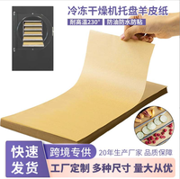 Papier sulfurisé double face enduit pour lyophilisation, résistant à la chaleur et imperméable, idéal pour la maison : pizza, sandwichs, biscuits, pain et gâteaux