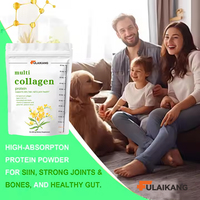 Collagène Multi-Spectre pour Adultes en Gros (OEM) avec Vitamine C et Acide Hyaluronique – Poudre de Peptides pour la Santé de la Peau – Aliment Santé en Vrac