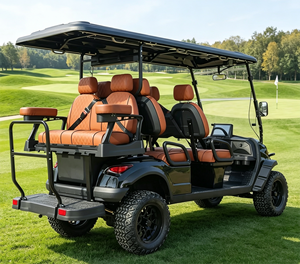 Voiture de golf homologuée CE 48V 6 places pour le tourisme et les visites, homologuée pour la route - Product Image 3