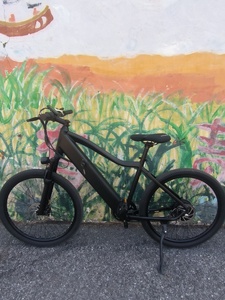Bicicleta Eléctrica Wanderer Eel con Batería en el Tubo Inferior, Alcance de 40 km, 350w, Disco de Litio, 7 Velocidades, para Desplazamientos Diarios y Paseos de Ocio - Product Image 5