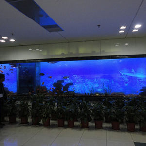 Vente d'usine OEM, décoration murale transparente en plastique acrylique pour aquarium, énorme aquarium - Product Image 2