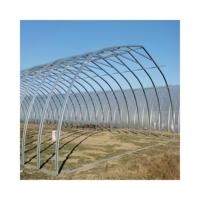 Grande serre tunnel à toit gothique à simple travée, structure en acier galvanisé de haute qualité, film PE protégé contre les UV pour culture commerciale